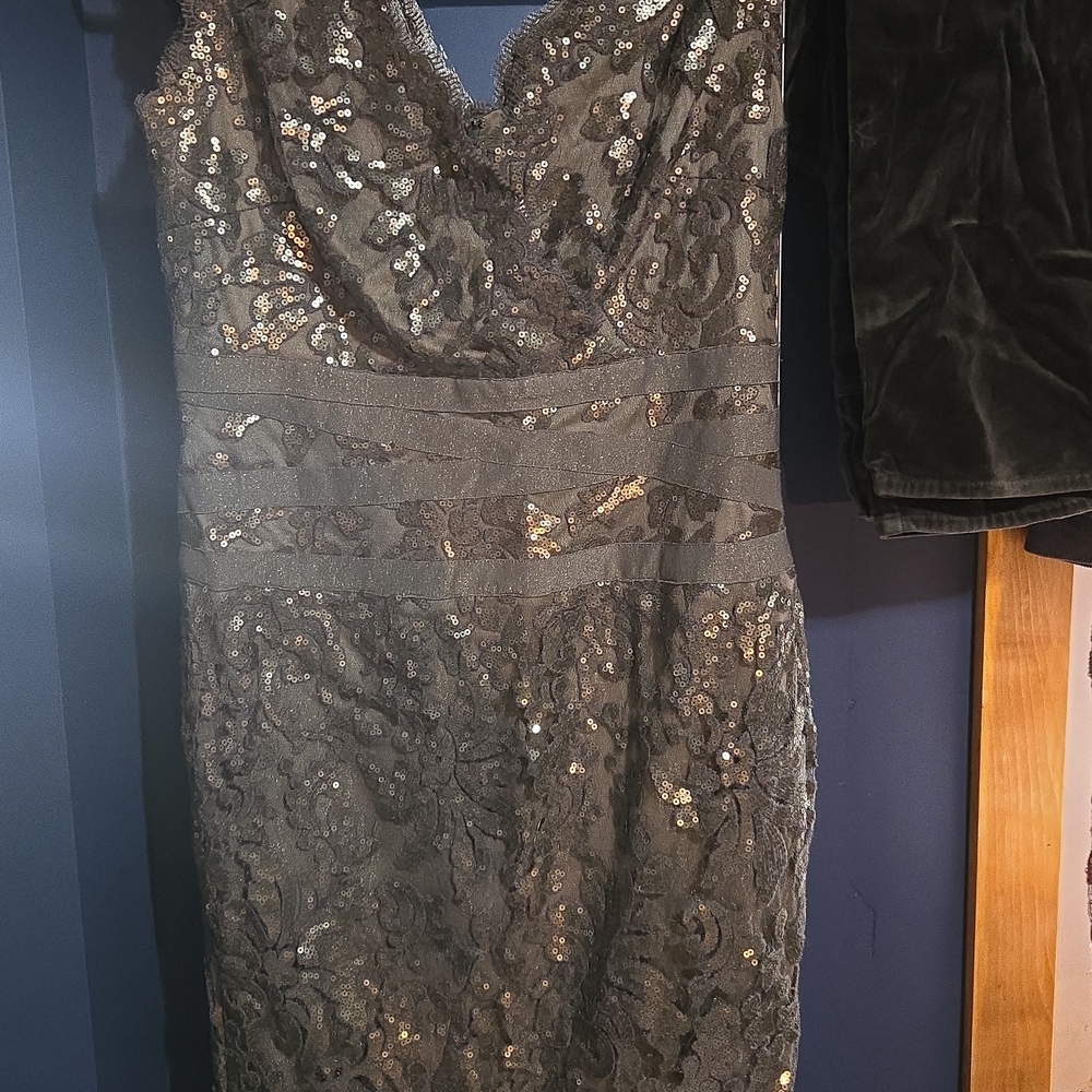 Stunning Tadashi Bodycon Lace Dress